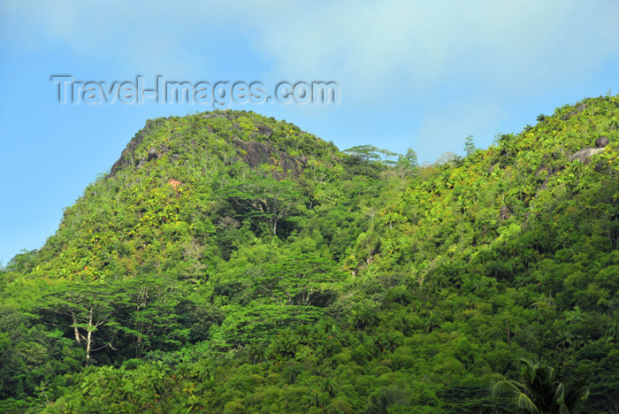 seychelles109: Mahe, Seychelles: Anse à la Mouche - hills covered in dense forest - photo by M.Torres - (c) Travel-Images.com - Stock Photography agency - Image Bank