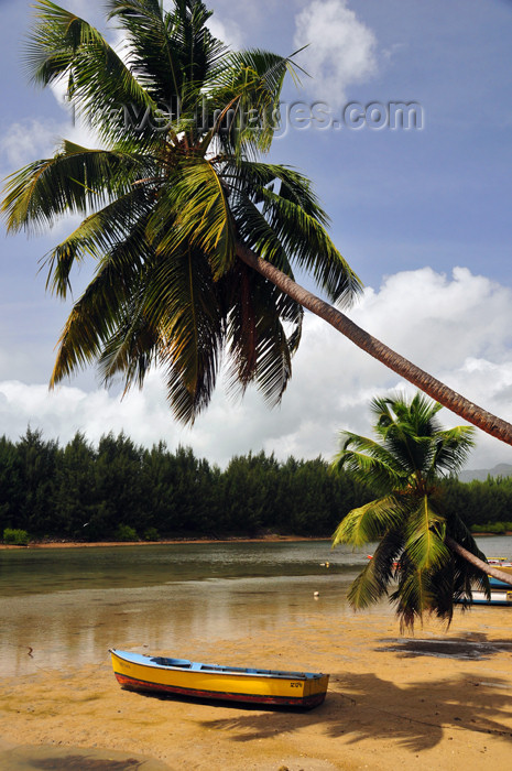 seychelles117: Mahe, Seychelles: Anse Etoile - beach, coconut tree and Perseverance island - photo by M.Torres - (c) Travel-Images.com - Stock Photography agency - Image Bank