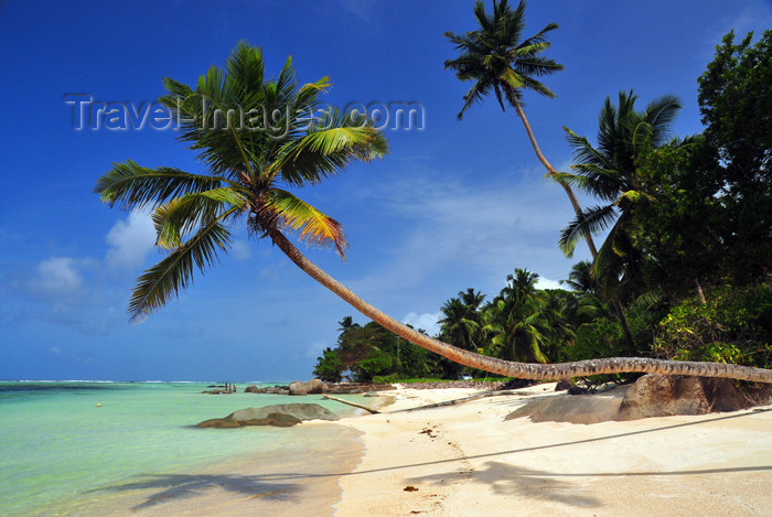 seychelles125: Mahe, Seychelles: Anse Royal - quintessential tropical beach - deep blue sky, emerald water, golden sand, coconut trees - photo by M.Torres - (c) Travel-Images.com - Stock Photography agency - Image Bank