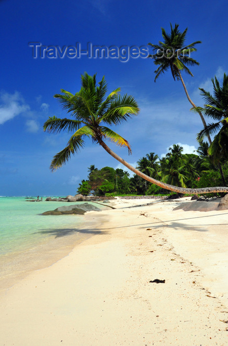 seychelles126: Mahe, Seychelles: Anse Royal - beach - golden sand and a touch of paradise - photo by M.Torres - (c) Travel-Images.com - Stock Photography agency - Image Bank