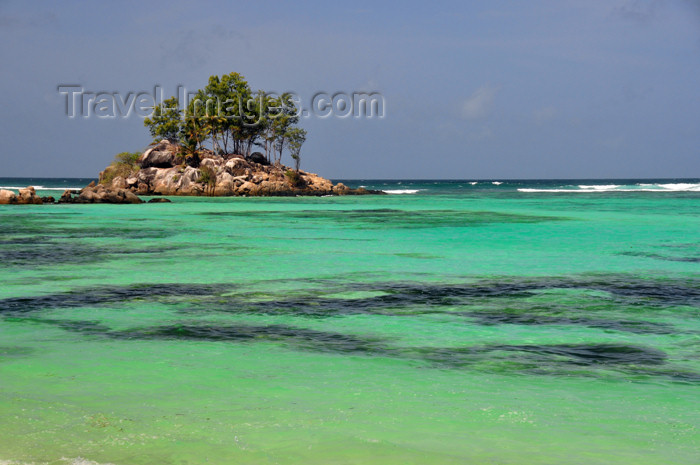 seychelles128: Mahe, Seychelles: Anse Royal - ile Souris - photo by M.Torres - (c) Travel-Images.com - Stock Photography agency - Image Bank