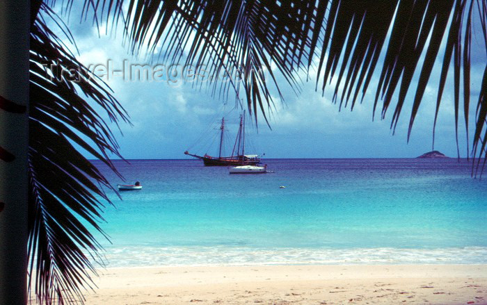 seychelles40: Seychelles - Praslin island: beach by the Paradise Sun hotel - photo by F.Rigaud - (c) Travel-Images.com - Stock Photography agency - Image Bank