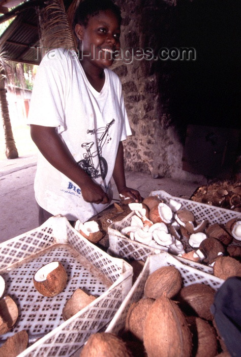 seychelles65: Seychelles - La Digue island: preparing coconuts - photo by F.Rigaud - (c) Travel-Images.com - Stock Photography agency - Image Bank