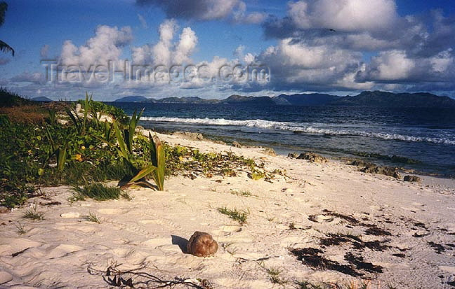 seychelles68: Seychelles - Aldabra atoll (Unesco World Heritage site): on the beach (photo by G.Frysinger)) - (c) Travel-Images.com - Stock Photography agency - Image Bank