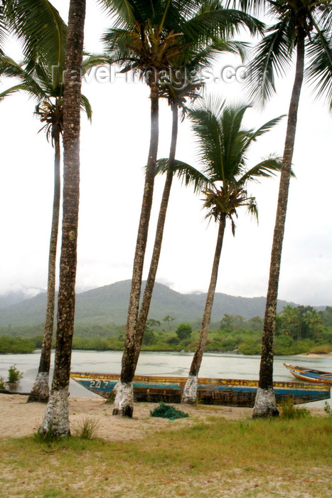 sierra-leone11: Tokeh beach, Freetown Peninsula, Sierra Leone: palm trees, fishing boats with rain forest behind - photo by J.Britt-Green - (c) Travel-Images.com - Stock Photography agency - Image Bank