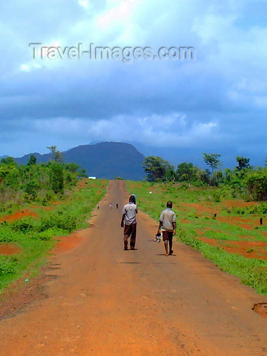sierra-leone19: Freetown Peninsula, Sierra Leone: children returning from school along an empty road - photo by T.Trenchard - (c) Travel-Images.com - Stock Photography agency - Image Bank