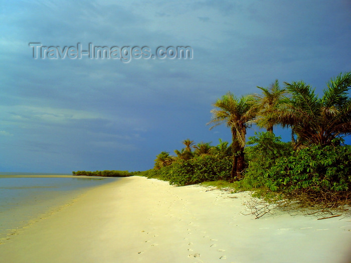 sierra-leone24: Turtle Islands, Southern Province, Sierra Leone: deserted beach - photo by T.Trenchard - (c) Travel-Images.com - Stock Photography agency - Image Bank