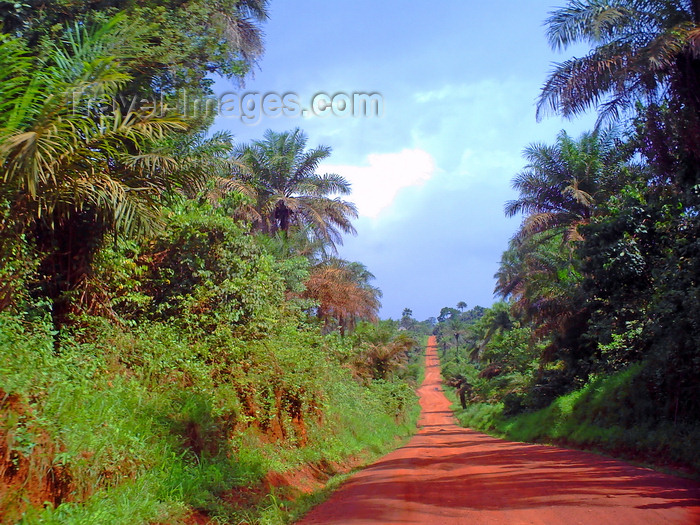 sierra-leone26: Southern Province, Sierra Leone: dirt road between Bo and Cambama - photo by T.Trenchard - (c) Travel-Images.com - Stock Photography agency - Image Bank