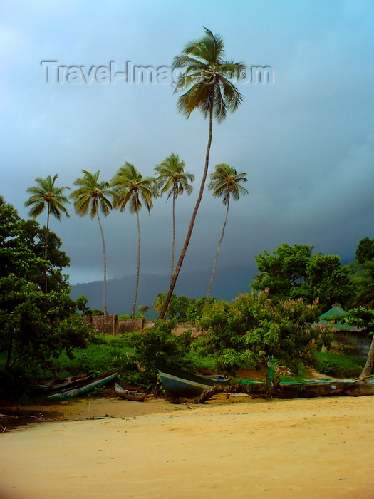 sierra-leone35: Lakka Beach, Freetown Peninsula, Sierra Leone: storm clouds behind palm trees - photo by T.Trenchard - (c) Travel-Images.com - Stock Photography agency - Image Bank