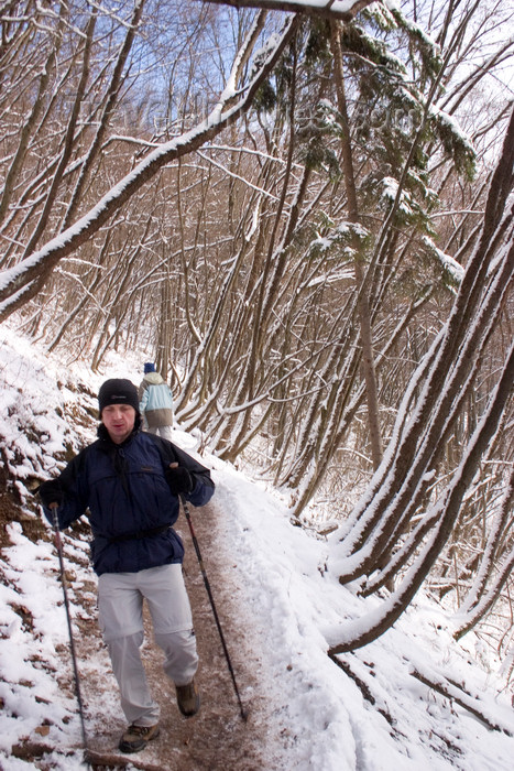 slovenia119: hiker on a frozen trail - Smarna Gora mountain on the outskirts of Ljubljana, Slovenia - photo by I.Middleton - (c) Travel-Images.com - Stock Photography agency - Image Bank