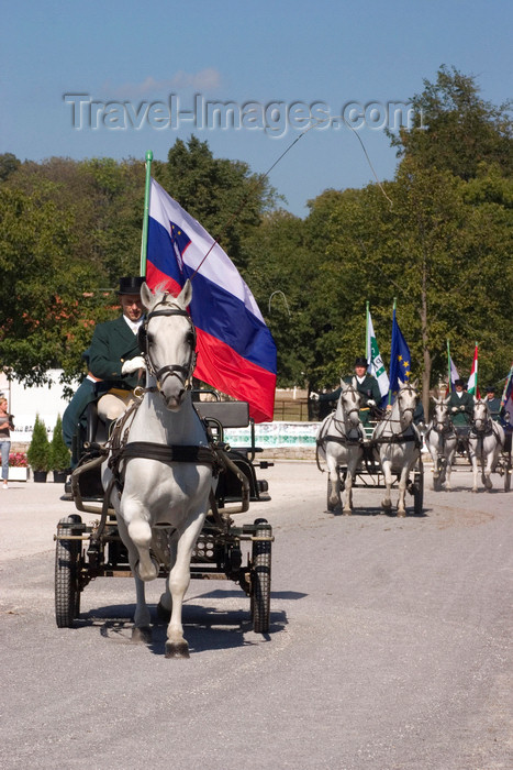 slovenia127: Slovenia - Lipica / Lipizza - Goriska region: Lipica stud farm - Combined driving event - the dressage test - Carriage parade - Slovenian flag - photo by I.Middleton - (c) Travel-Images.com - Stock Photography agency - Image Bank