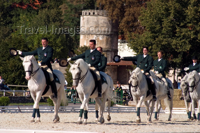 slovenia140: Slovenia - Lipica / Lipizza - Goriska region: Lipica stud farm - dressage competitors on parade - photo by I.Middleton - (c) Travel-Images.com - Stock Photography agency - Image Bank