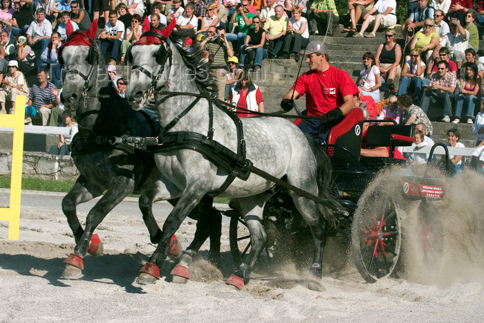 slovenia145: Slovenia - Lipica / Lipizza - Goriska region: Lipica stud farm - Combined driving event - Carriage Driving - negotiating the sand - photo by I.Middleton - (c) Travel-Images.com - Stock Photography agency - Image Bank