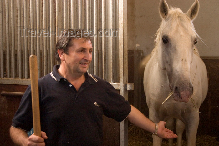 slovenia152: Slovenia - Lipica - Goriska region: Lipica stud farm - in the stables - lipizzaner horse and worker - photo by I.Middleton - (c) Travel-Images.com - Stock Photography agency - Image Bank