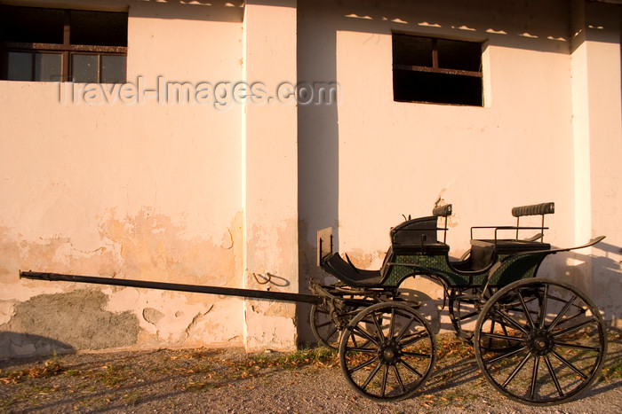 slovenia154: Slovenia - Lipica / Lipizza - Goriska region: Lipica stud farm - britzka - horse-less carriage - photo by I.Middleton - (c) Travel-Images.com - Stock Photography agency - Image Bank