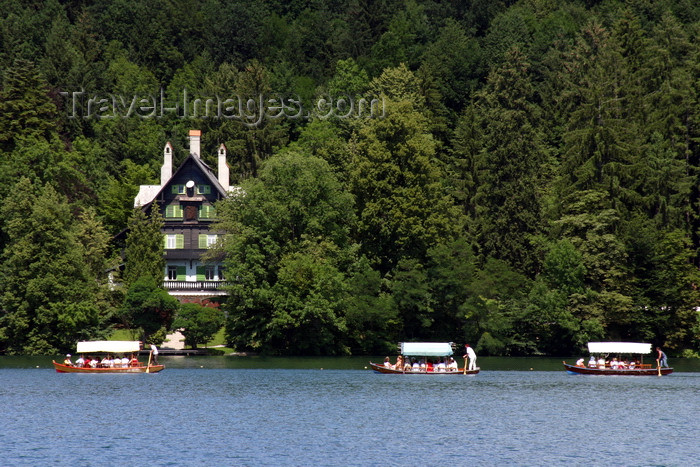 slovenia160: Slovenia - Row of Pletna boats on Lake Bled - forest - photo by I.Middleton - (c) Travel-Images.com - Stock Photography agency - Image Bank