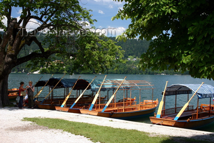 slovenia161: Slovenia - the local gondolas, called Pletnas, moored on Lake Bled - photo by I.Middleton - (c) Travel-Images.com - Stock Photography agency - Image Bank