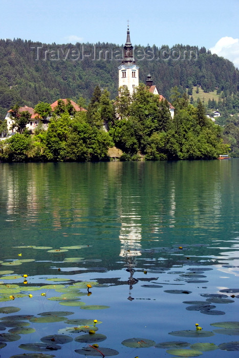 slovenia163: Slovenia - Assumption of Mary's Church reflected on Lake Bled - photo by I.Middleton - (c) Travel-Images.com - Stock Photography agency - Image Bank