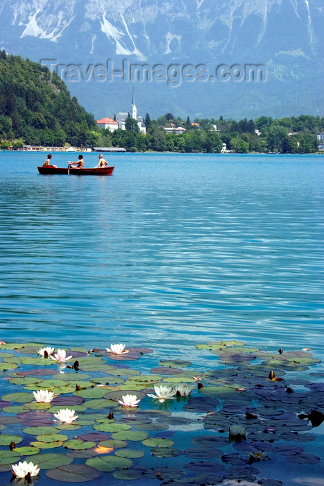 slovenia167: Slovenia - People rowing across Lake Bled - photo by I.Middleton - (c) Travel-Images.com - Stock Photography agency - Image Bank