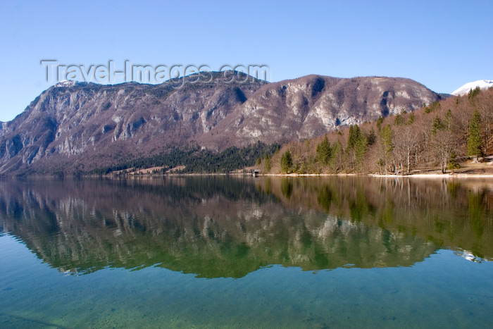 slovenia193: Slovenia - Mountains reflected in Bohinj Lake - photo by I.Middleton - (c) Travel-Images.com - Stock Photography agency - Image Bank