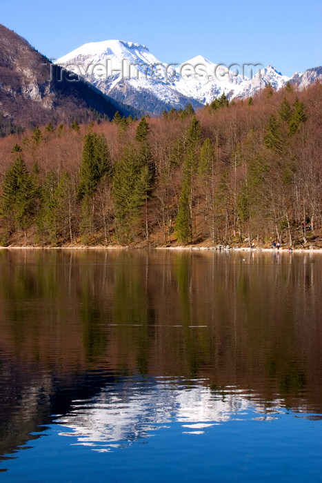 slovenia197: Slovenia - reflection of mountains and forest - Bohinj Lake in Spring - photo by I.Middleton - (c) Travel-Images.com - Stock Photography agency - Image Bank