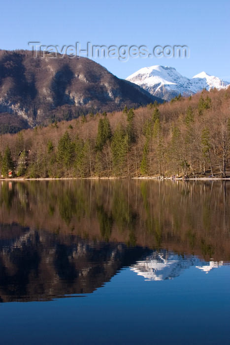 slovenia203: Slovenia - perfect mirror - Mountains reflected in Bohinj Lake - photo by I.Middleton - (c) Travel-Images.com - Stock Photography agency - Image Bank