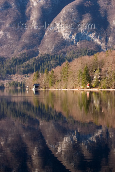 slovenia204: Slovenia - banks of Bohinj Lake - photo by I.Middleton - (c) Travel-Images.com - Stock Photography agency - Image Bank