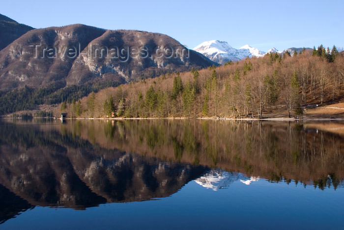 slovenia205: Slovenia - landscape reflected in Bohinj Lake - photo by I.Middleton - (c) Travel-Images.com - Stock Photography agency - Image Bank