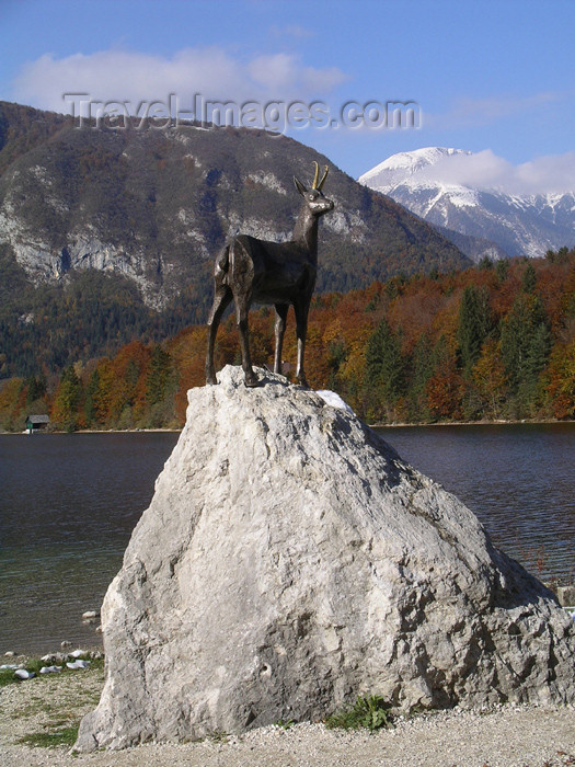 slovenia21: Slovenia - Lake Bohinj / Bohinjsko jezero / Wocheinersee - Ribcev Laz - - Upper Carniola / Gorenjska region: chamois sculpture - Rupicapra rupicapra - photo by R.Wallace - (c) Travel-Images.com - Stock Photography agency - Image Bank