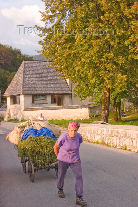 slovenia210: Slovenia - Old lady pulling cart of grass across bridge beside Bohinj Lake - photo by I.Middleton - (c) Travel-Images.com - Stock Photography agency - Image Bank