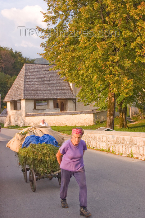 slovenia210: Slovenia - Old lady pulling cart of grass across bridge beside Bohinj Lake - photo by I.Middleton - (c) Travel-Images.com - Stock Photography agency - Image Bank