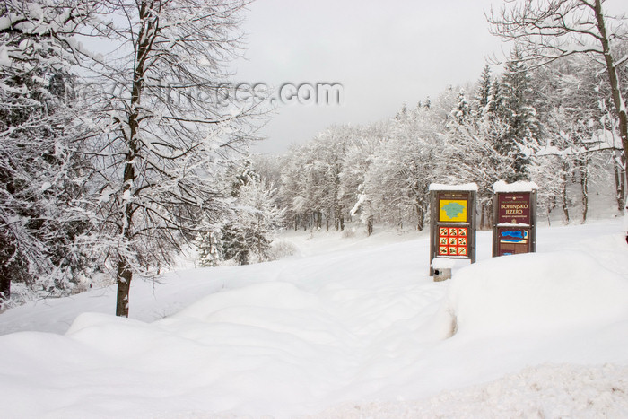 slovenia212: Slovenia - Start of walking path around Lake Bohinj - photo by I.Middleton - (c) Travel-Images.com - Stock Photography agency - Image Bank