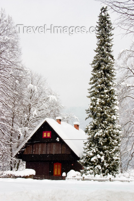 slovenia215: Slovenia - Alpine housing in Stara Fuzina village beside Bohinj Lake - photo by I.Middleton - (c) Travel-Images.com - Stock Photography agency - Image Bank