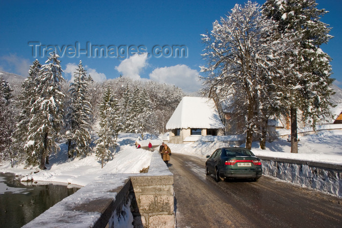 slovenia217: Slovenia - bridge beside Bohinj Lake - photo by I.Middleton - (c) Travel-Images.com - Stock Photography agency - Image Bank