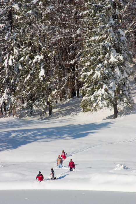 slovenia219: Slovenia - Children playing beside frozen Bohinj Lake - photo by I.Middleton - (c) Travel-Images.com - Stock Photography agency - Image Bank