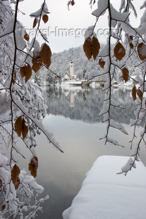 slovenia234: Slovenia - Ribcev Laz - leaves and view across Bohinj Lake in winter - photo by I.Middleton - (c) Travel-Images.com - Stock Photography agency - Image Bank