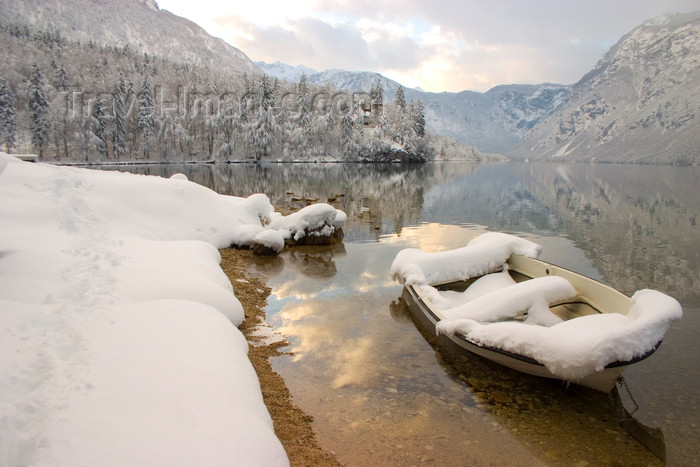 slovenia239: Slovenia - Ribcev Laz - forzen boat and forest - view across Bohinj Lake in winter - photo by I.Middleton - (c) Travel-Images.com - Stock Photography agency - Image Bank