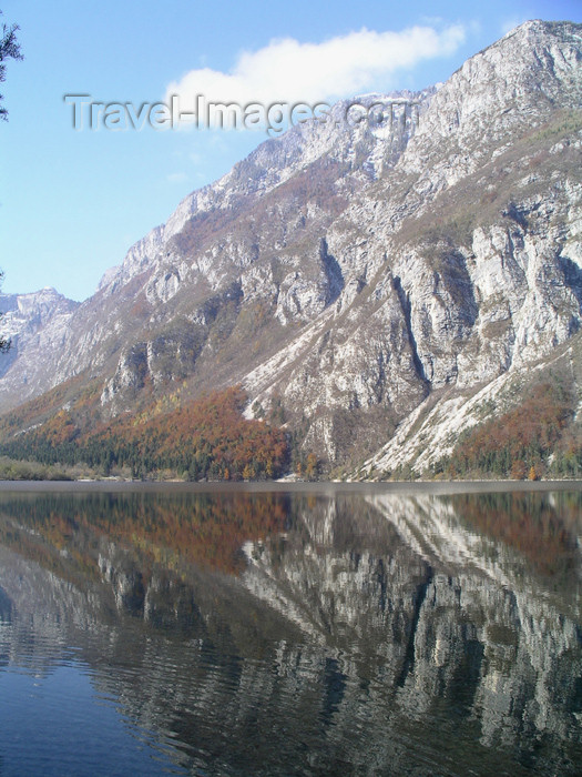 slovenia25: Slovenia - Lake Bohinj: reflection - periglacial lake - photo by R.Wallace - (c) Travel-Images.com - Stock Photography agency - Image Bank
