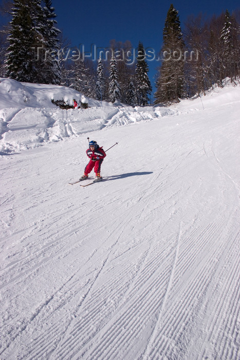 slovenia274: Slovenia - on the slope at high speed - Vogel mountain in Bohinj - photo by I.Middleton - (c) Travel-Images.com - Stock Photography agency - Image Bank