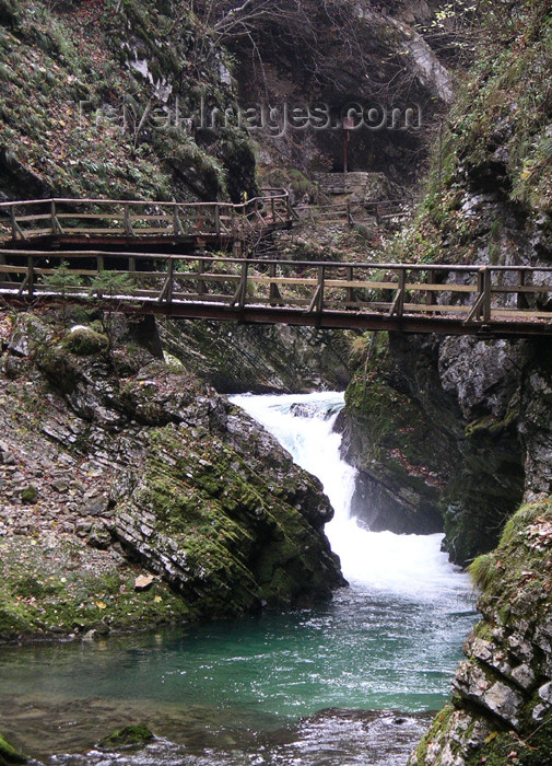 slovenia30: Slovenia - Bled: Vintgar gorge - photo by R.Wallace - (c) Travel-Images.com - Stock Photography agency - Image Bank