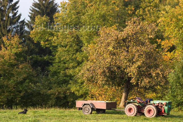 slovenia341: Slovenia - Jance: Autumn harvest - tractor - agriculture - photo by I.Middleton - (c) Travel-Images.com - Stock Photography agency - Image Bank