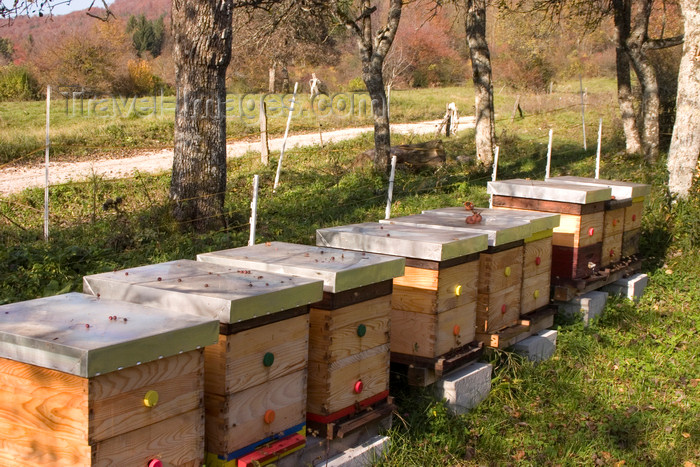 slovenia371: Slovenia - Kocevski Rog: beekeeping - beehives - photo by I.Middleton - (c) Travel-Images.com - Stock Photography agency - Image Bank