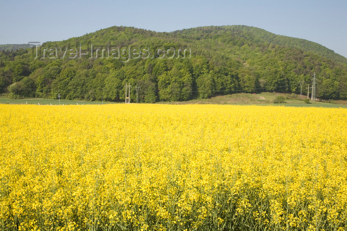 slovenia426: view across rapeseed field to Pohorje mountain range, Maribor, Slovenia - photo by I.Middleton - (c) Travel-Images.com - Stock Photography agency - Image Bank