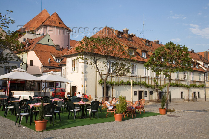 slovenia453: resting at Stara Trta - oldest vine in the world - Lent, Maribor, Slovenia - photo by I.Middleton - (c) Travel-Images.com - Stock Photography agency - Image Bank