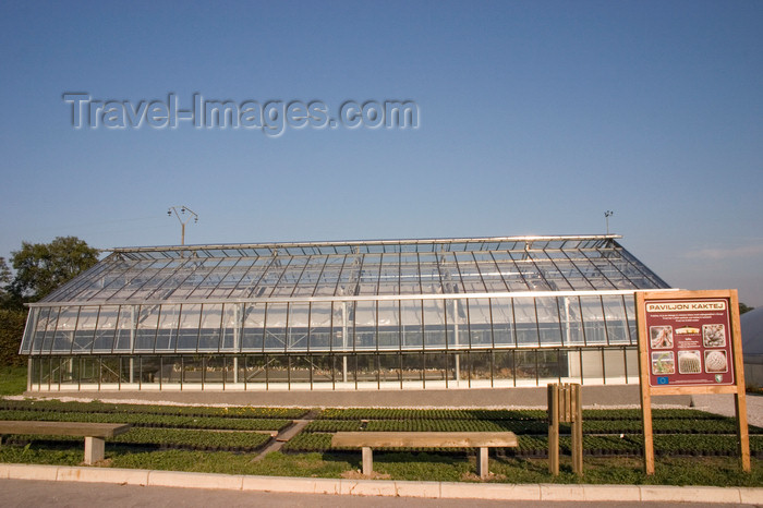 slovenia489: Cactus display - greenhouse, Rogaska Slatina, Slovenia - photo by I.Middleton - (c) Travel-Images.com - Stock Photography agency - Image Bank