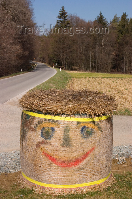 slovenia517: Making hay with a smile - Prekmurje, Slovenia - photo by I.Middleton - (c) Travel-Images.com - Stock Photography agency - Image Bank