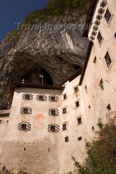 slovenia548: Predjama castle - wedged tight into a crevasse halfway up a 123-metre cliff-face , Slovenia - photo by I.Middleton - (c) Travel-Images.com - Stock Photography agency - Image Bank