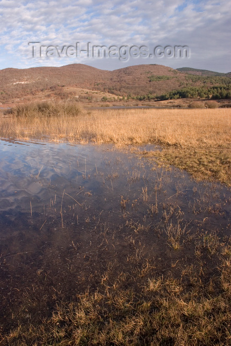 slovenia557: Slovenia - Pivka Valley: Palsko lake - submerged grass - photo by I.Middleton - (c) Travel-Images.com - Stock Photography agency - Image Bank