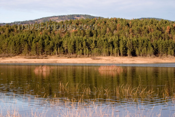 slovenia558: Slovenia - Pivka Valley: Palsko lake - forest and beach - photo by I.Middleton - (c) Travel-Images.com - Stock Photography agency - Image Bank