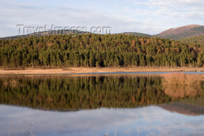 slovenia564: Slovenia - Pivka Valley: forest and hills reflected in Palsko lake- Karst region - photo by I.Middleton - (c) Travel-Images.com - Stock Photography agency - Image Bank